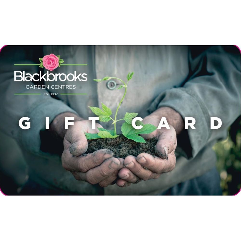 Blackbrooks Gift Card